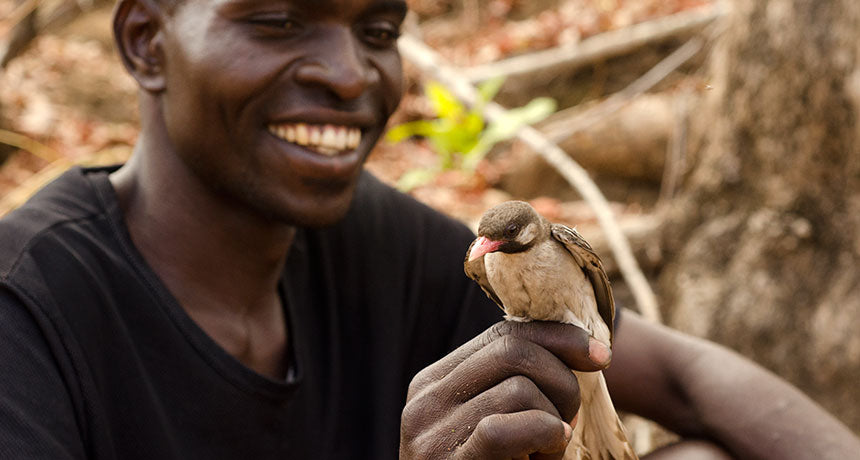 The Benefits of Socialization for Your Pet Bird