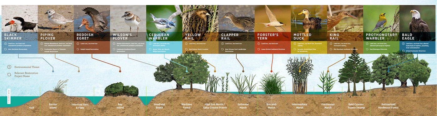 Choosing the Right Habitat for Your Feathered Friend: A Comprehensive Guide